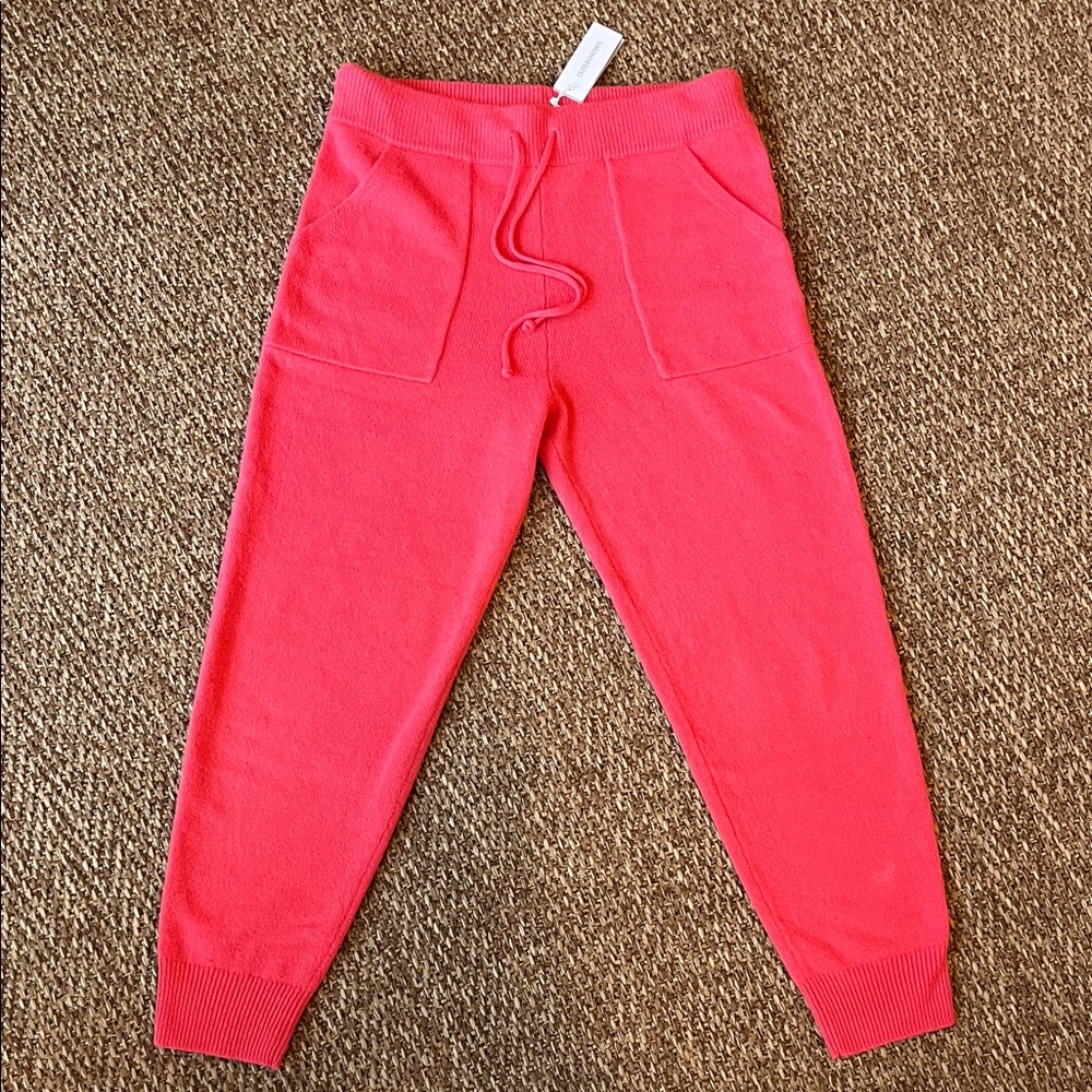 NWT Outerknown | Hudson Cashmere Joggers in Coral